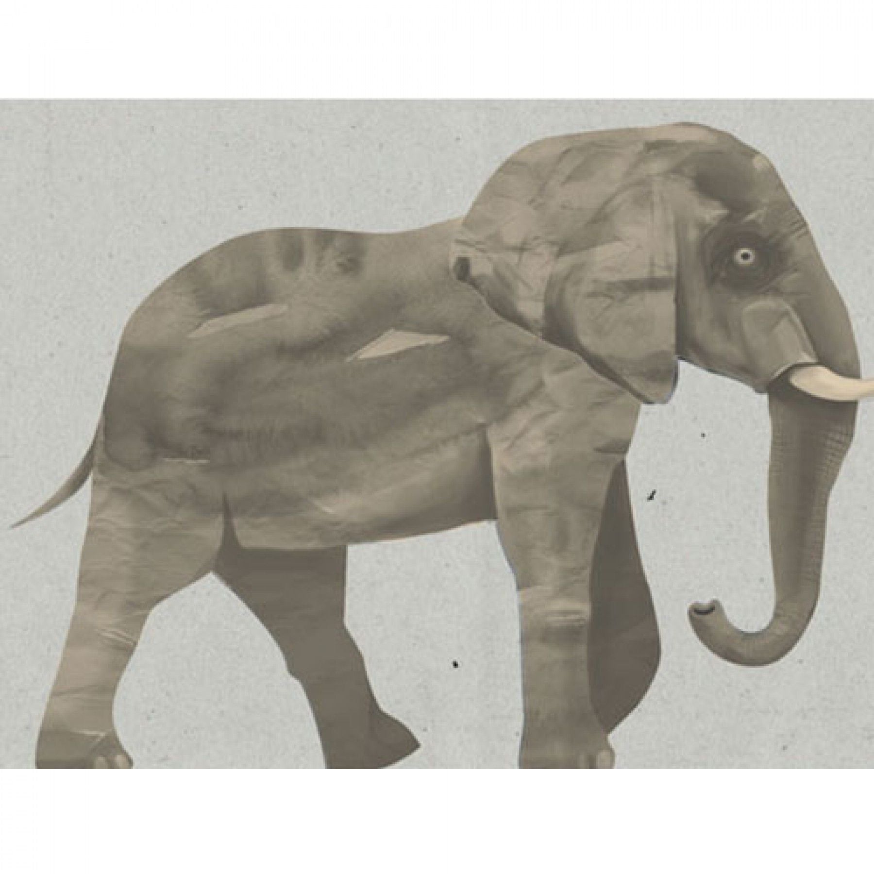 Wall Sticker