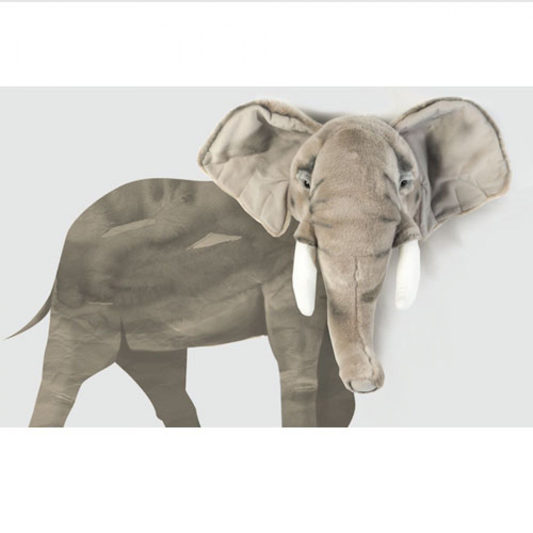 Wall Sticker