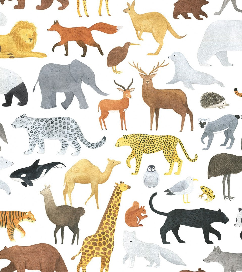 Papel de Parede Animals