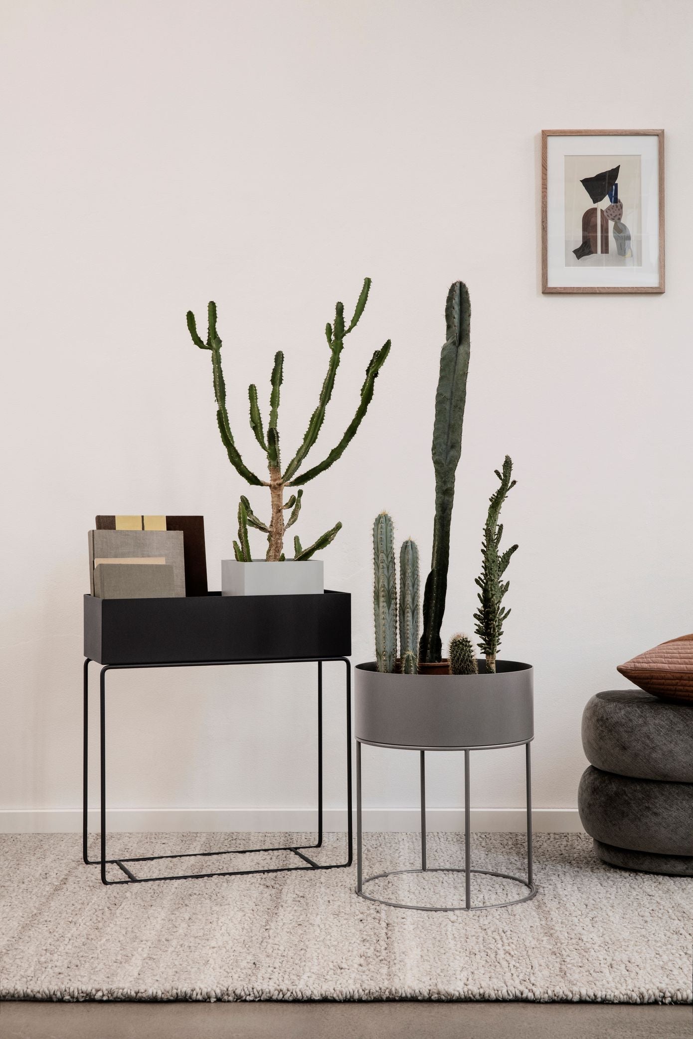 plant box