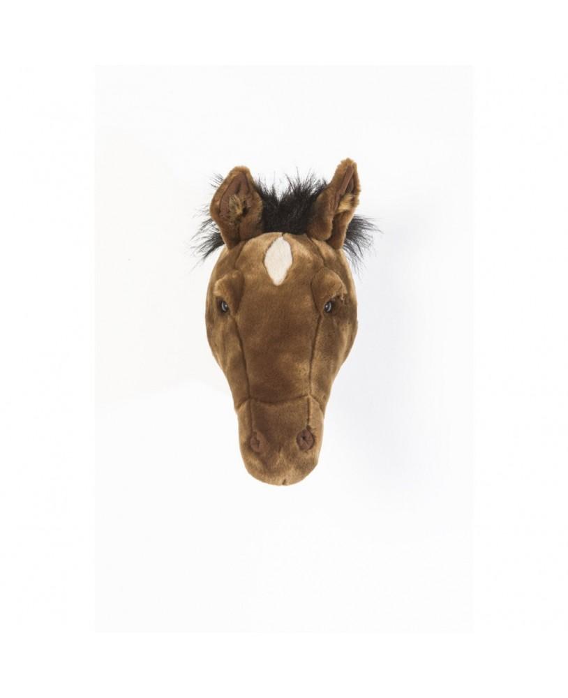 Animais, Cavalo Scarlett