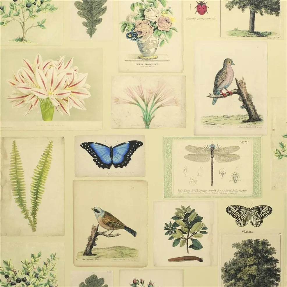 Papel de Parede Flora and Fauna