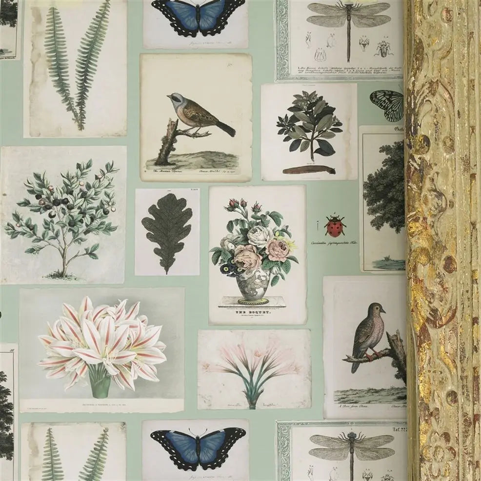 Papel de Parede Flora and Fauna