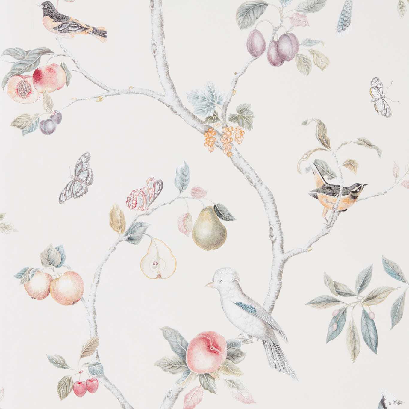 Papel de Parede, Fruit Aviary