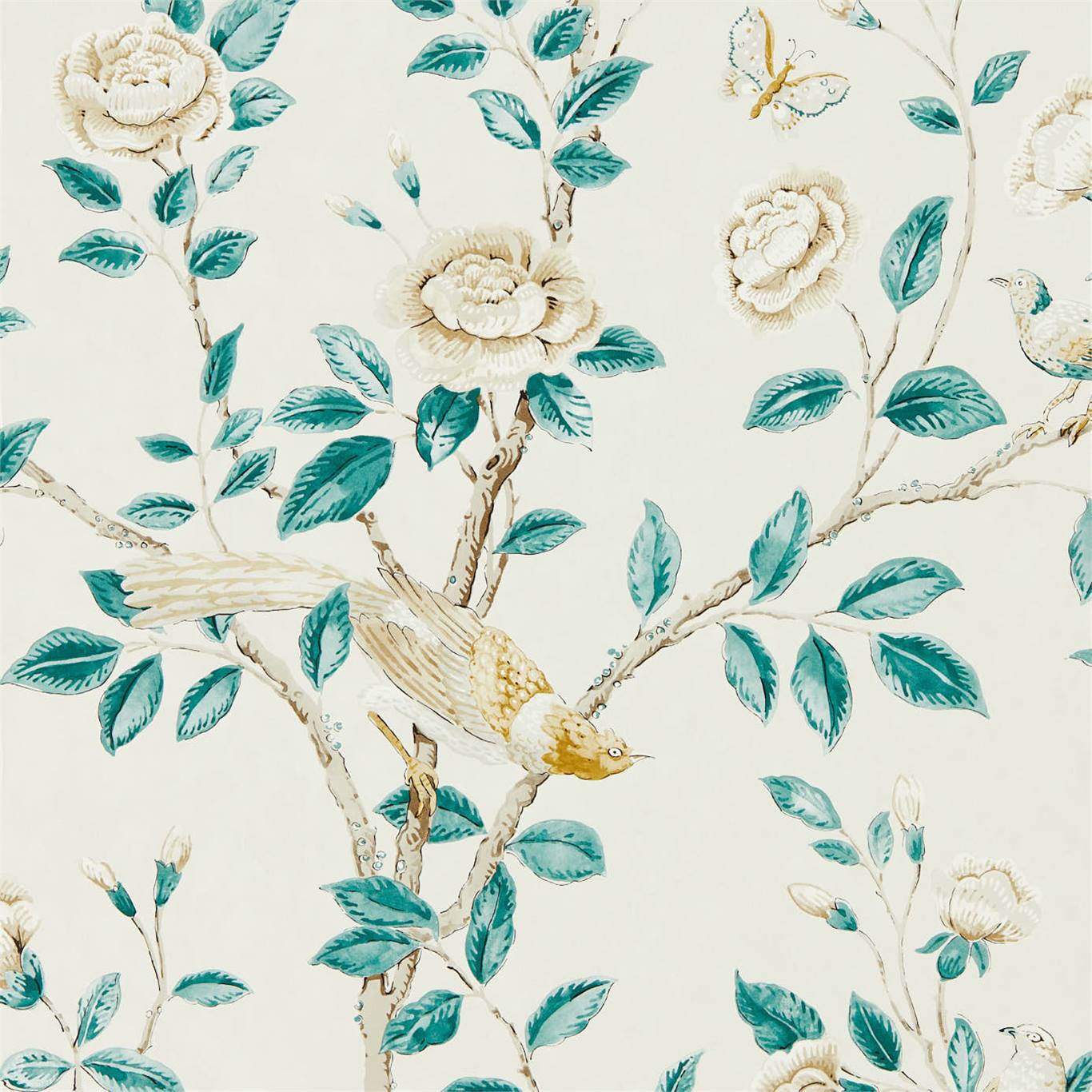 Papel de Parede, Andhara