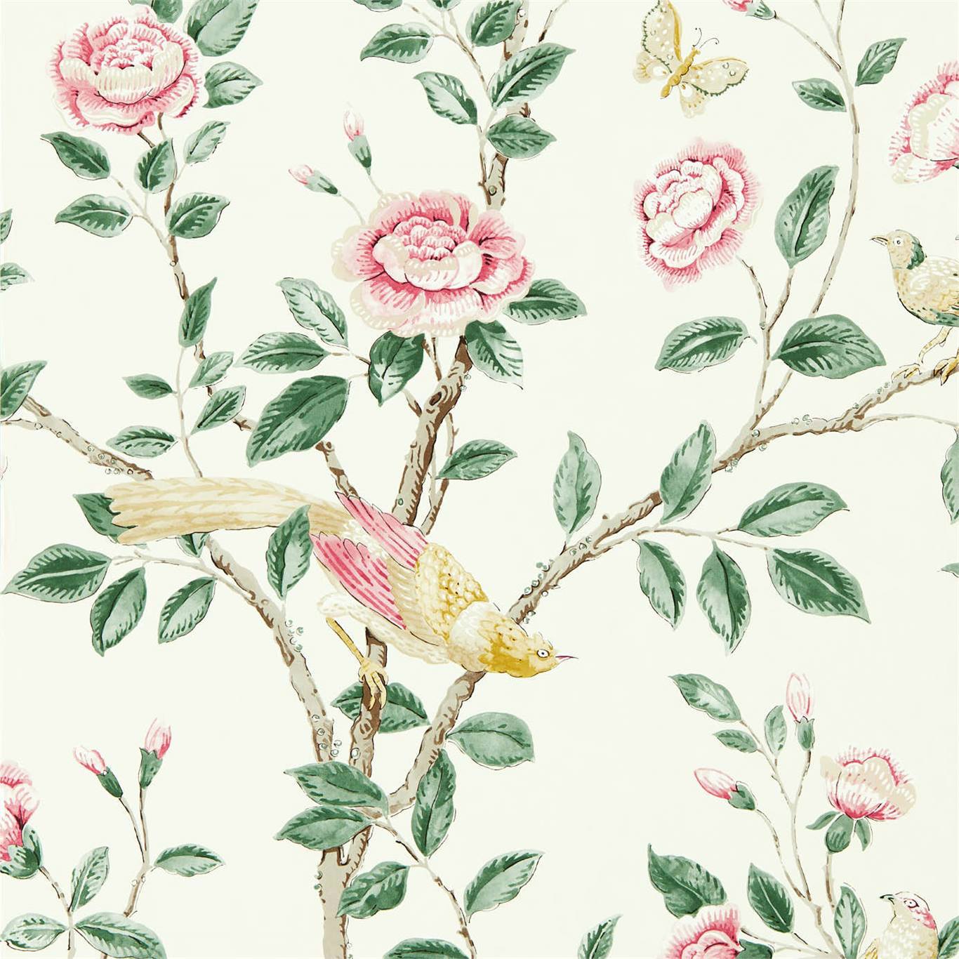 Papel de Parede, Andhara