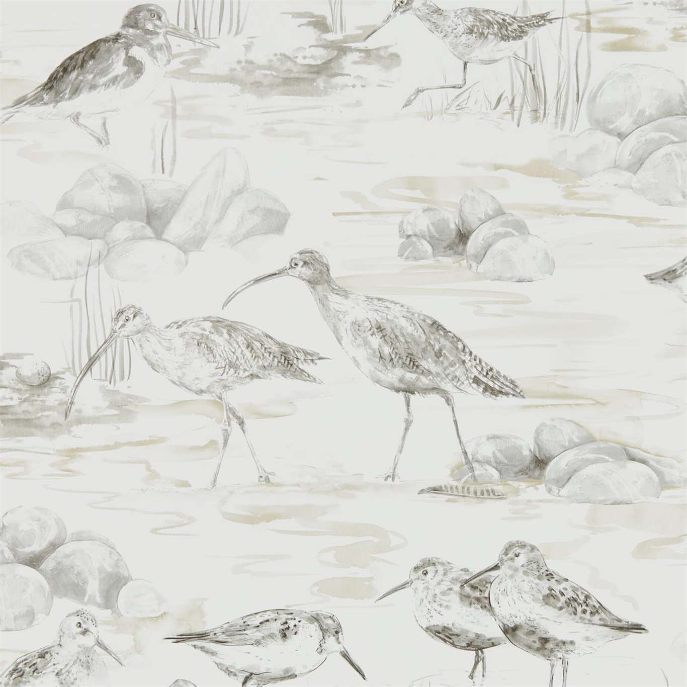 Papel de Parede, Estuary Birds