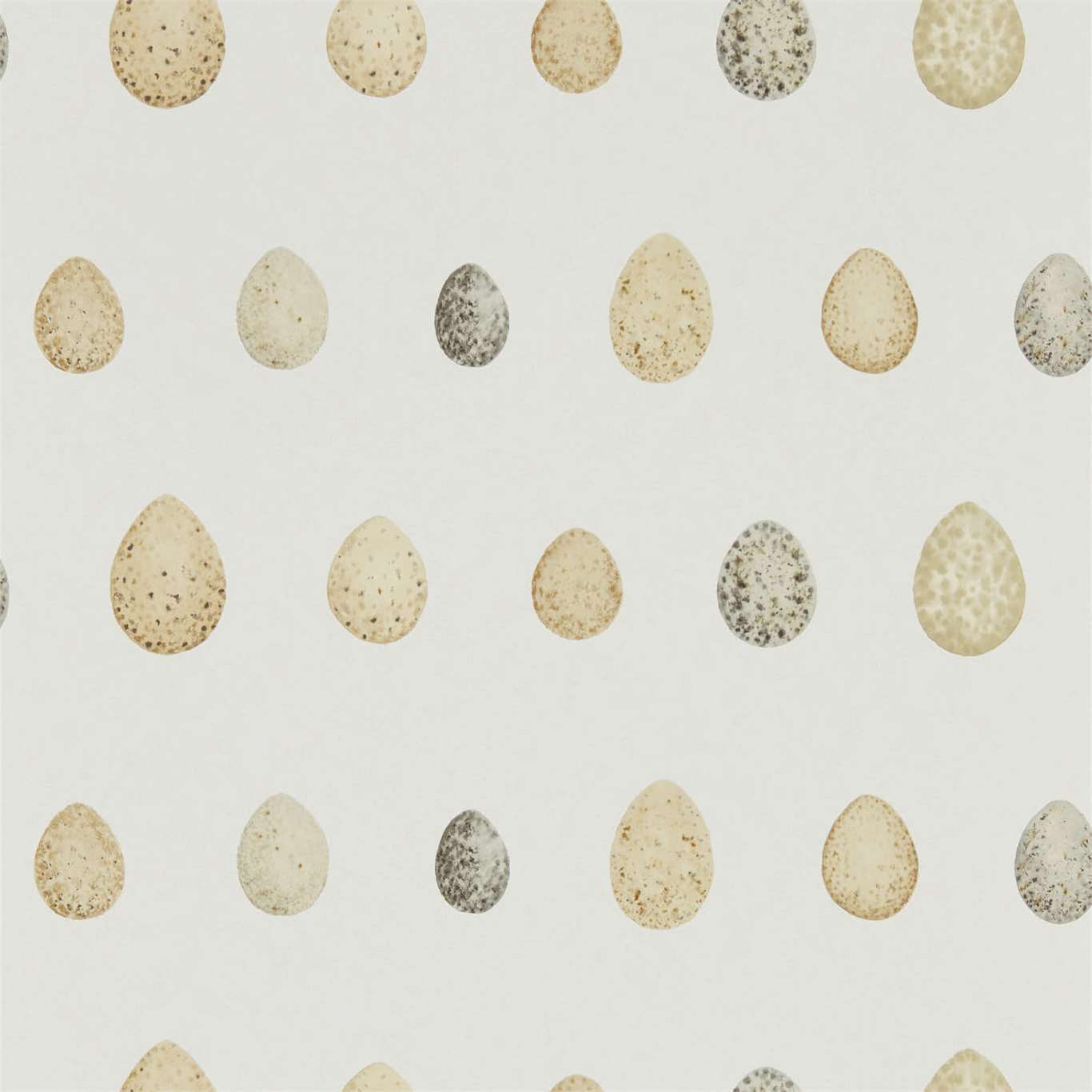 Papel de Parede, Nest Egg