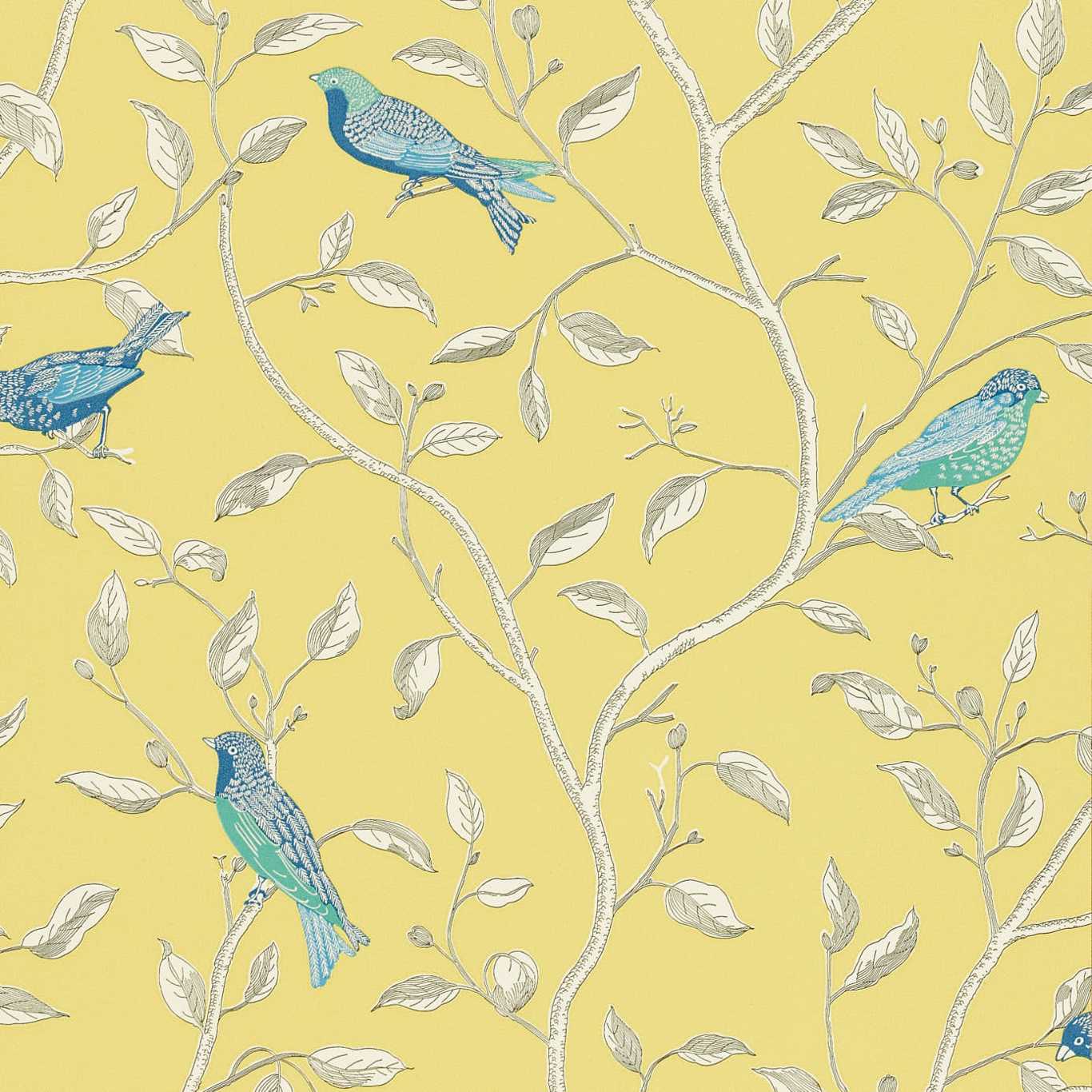Papel de Parede, Finches