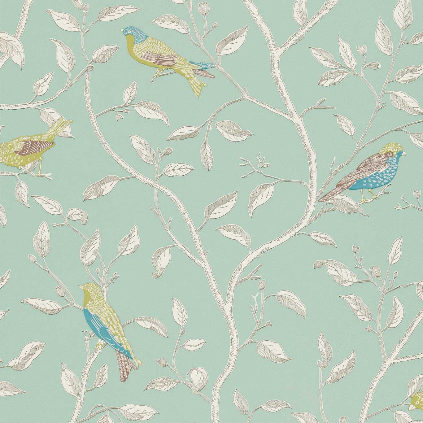 Papel de Parede, Finches