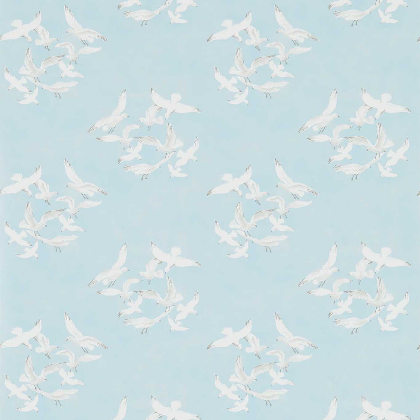 Papel de Parede, Seagulls