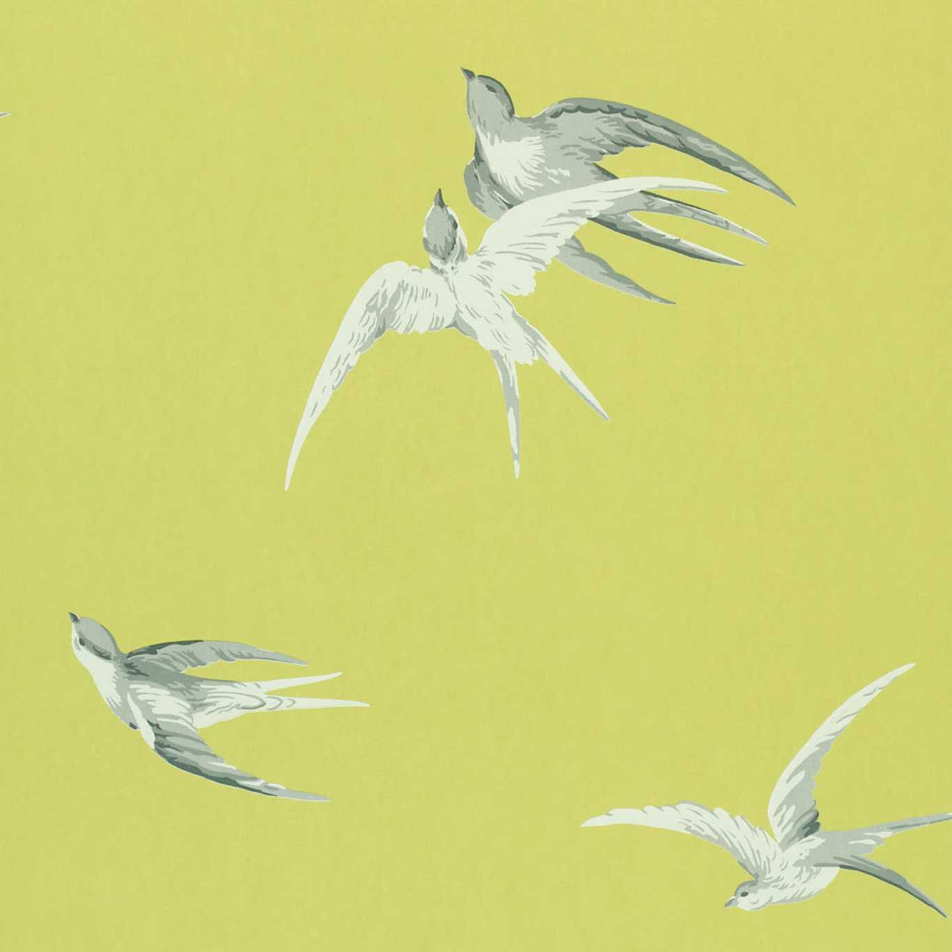 Papel de Parede, Swallows