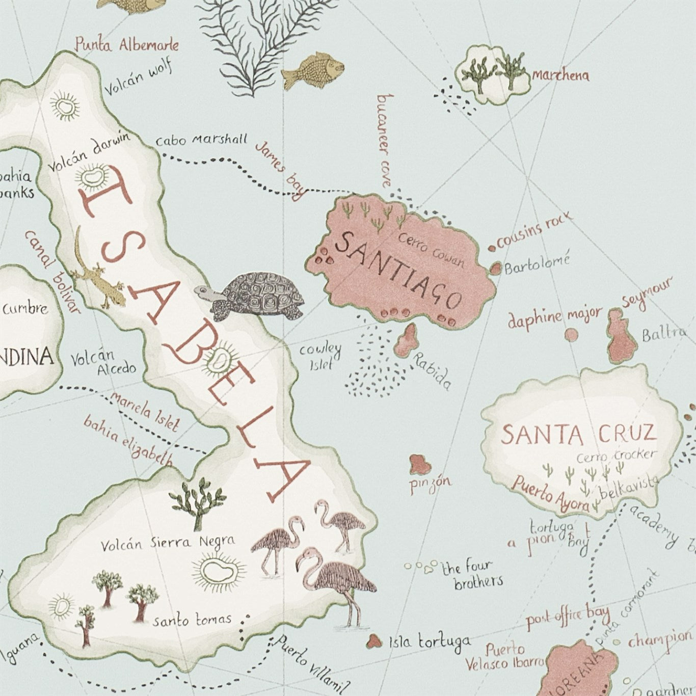 Papel de Parede, Galapagos