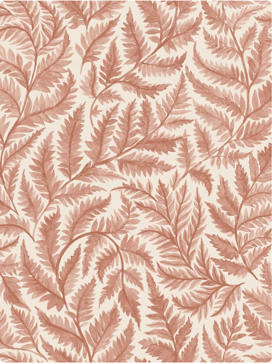 Ferns