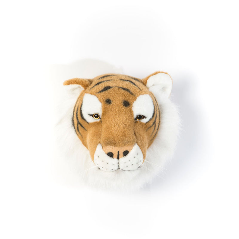 Animais, Tigre Félix