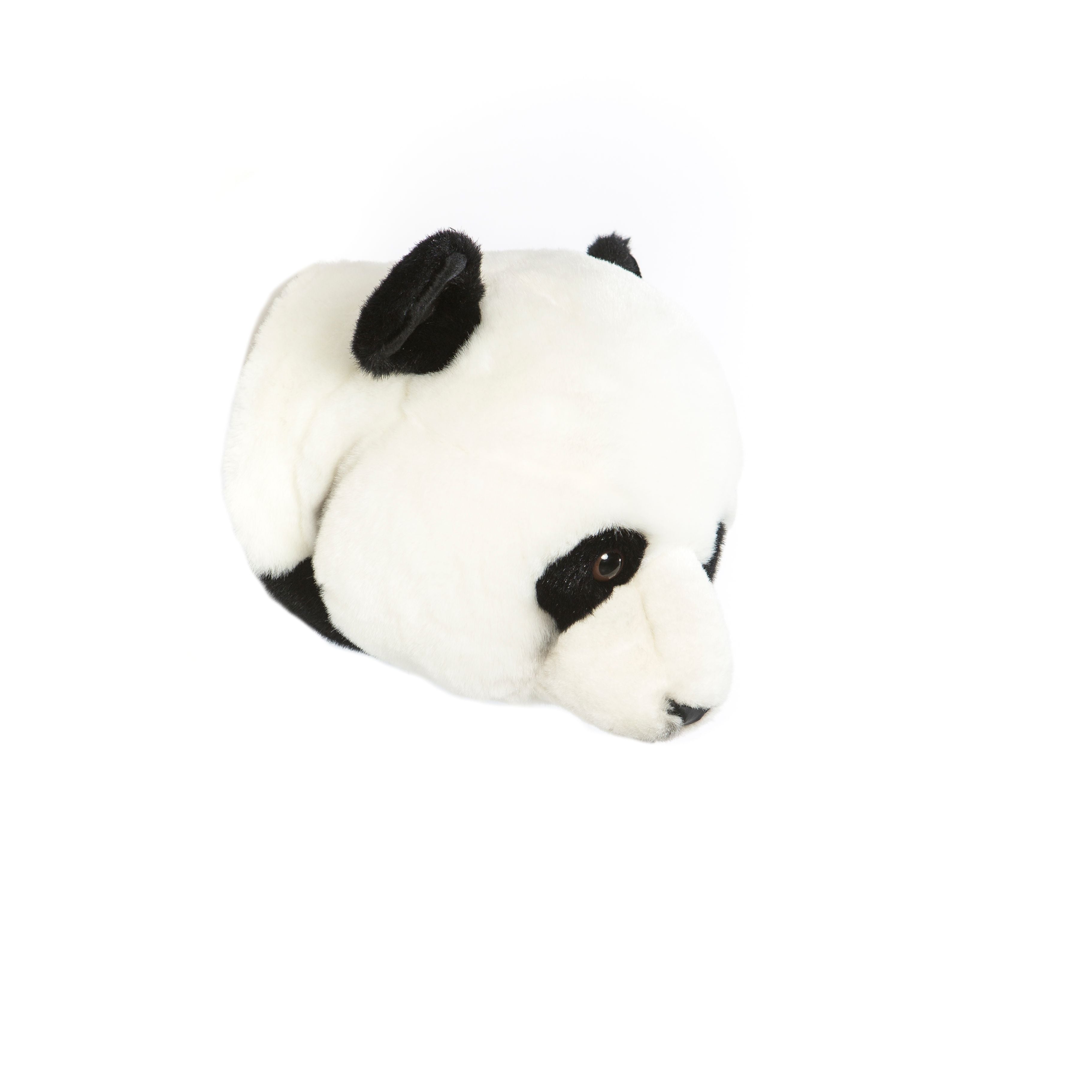 Animals, Panda Thomas