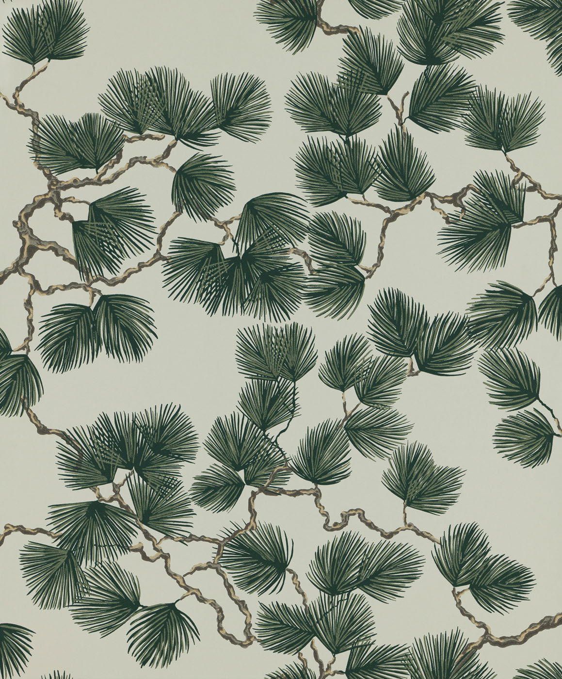 pine wallpaper