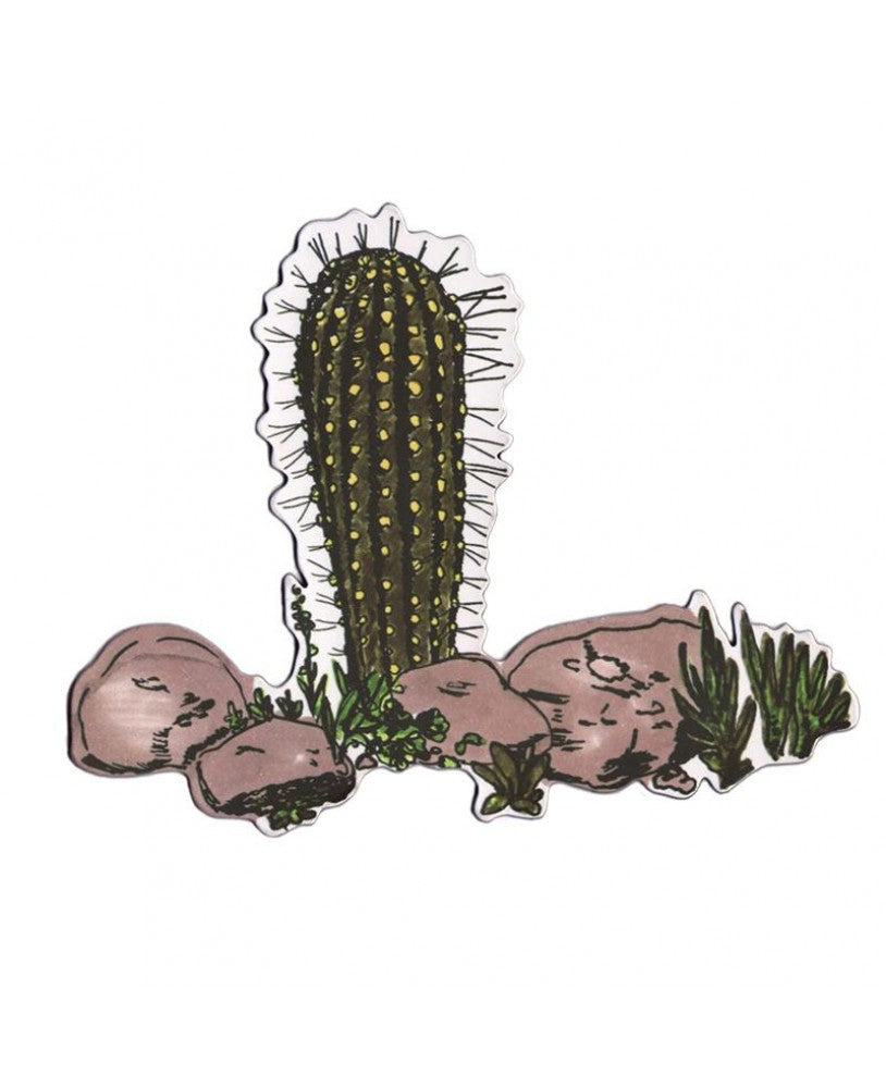 cactus magnet