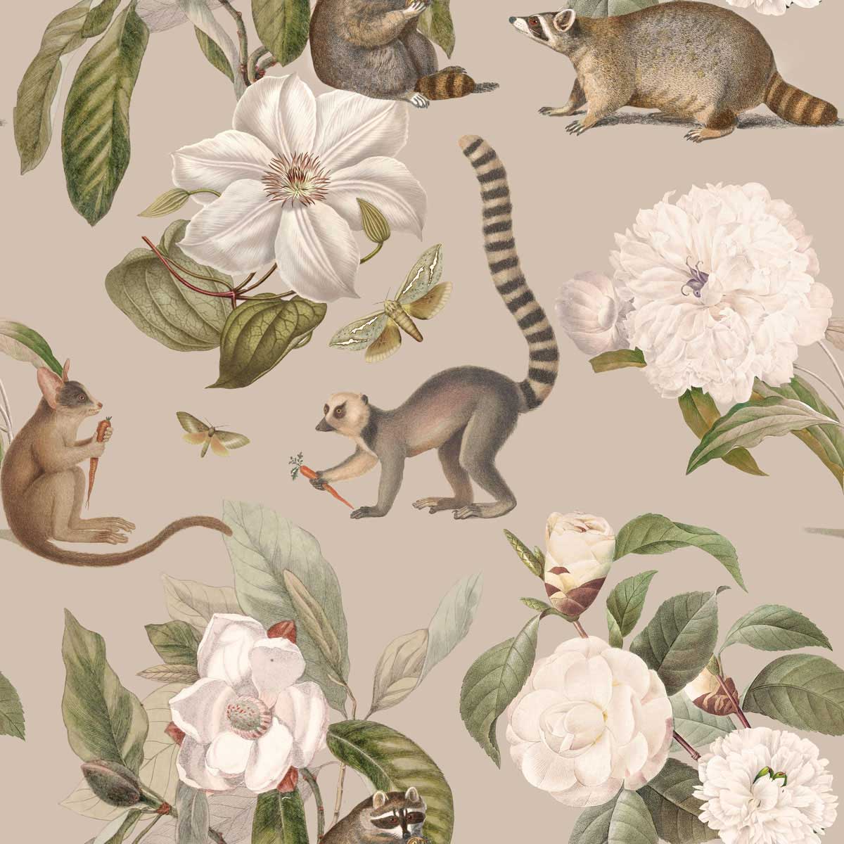 Lemur Kingdom Wallpaper