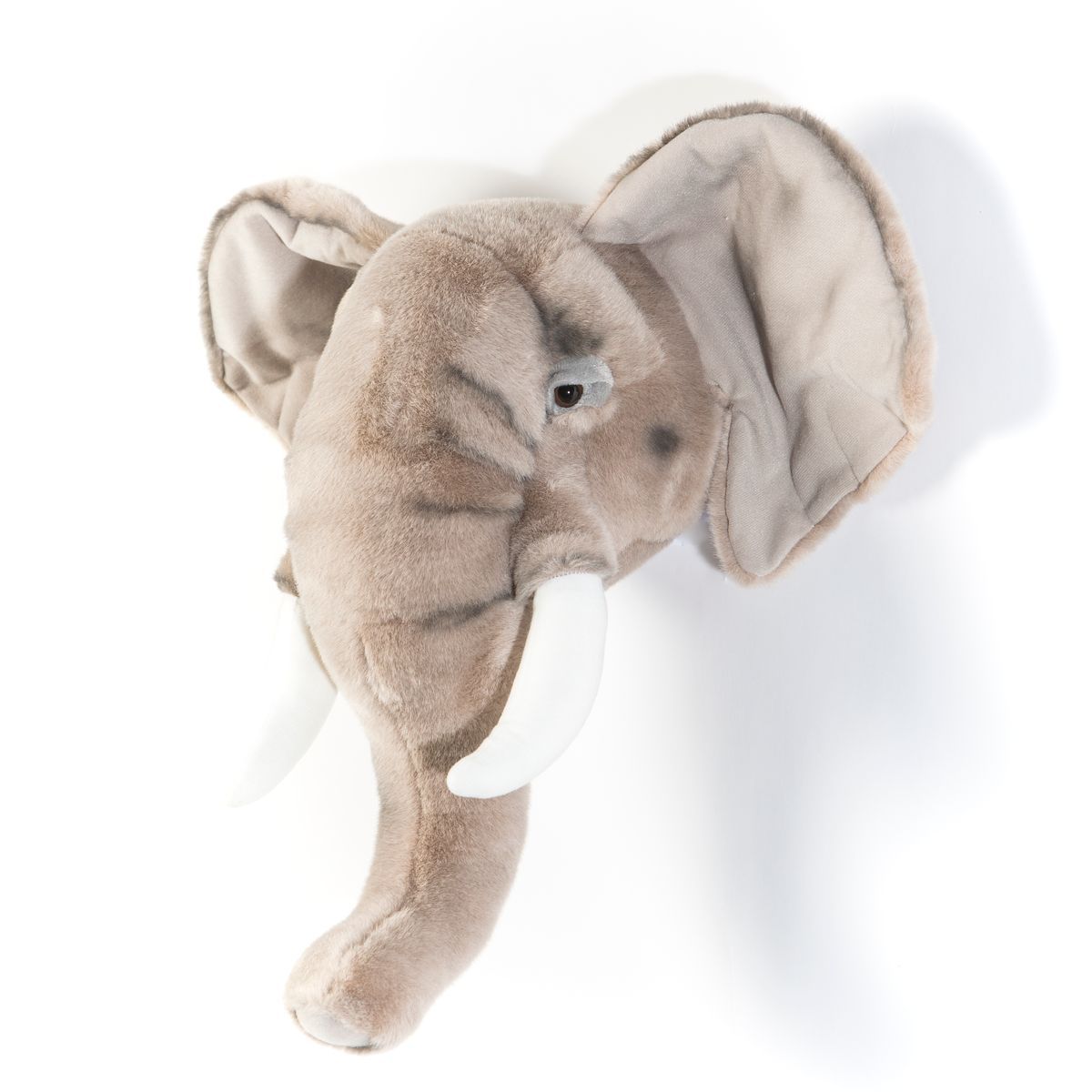 Animais, Elefante George