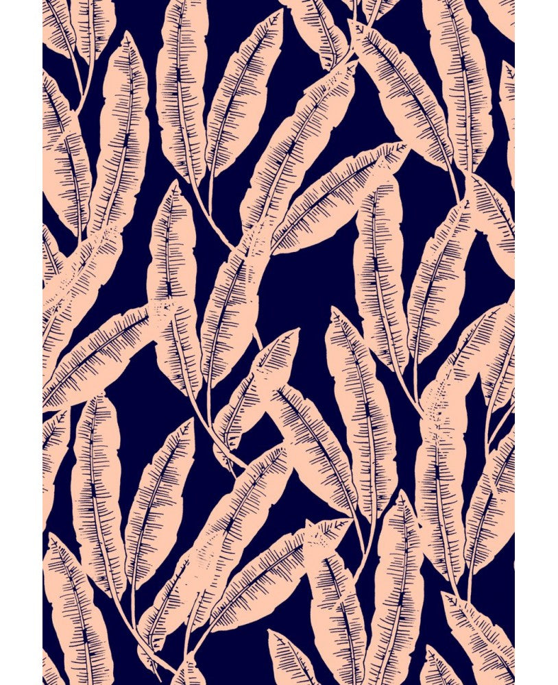Wallpaper, Feathers