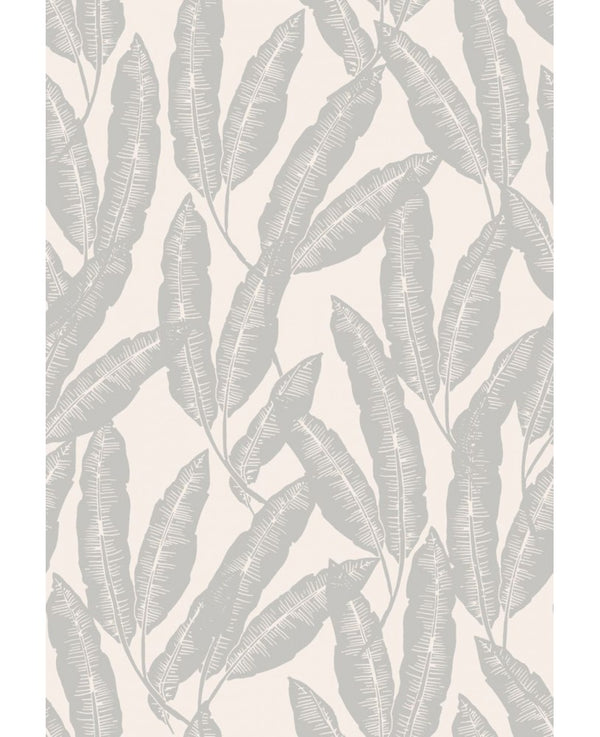 Wallpaper, Feathers