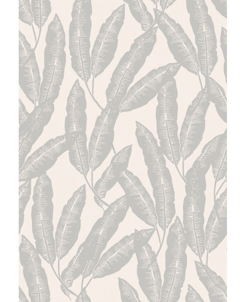 Papel de Parede, Plumas