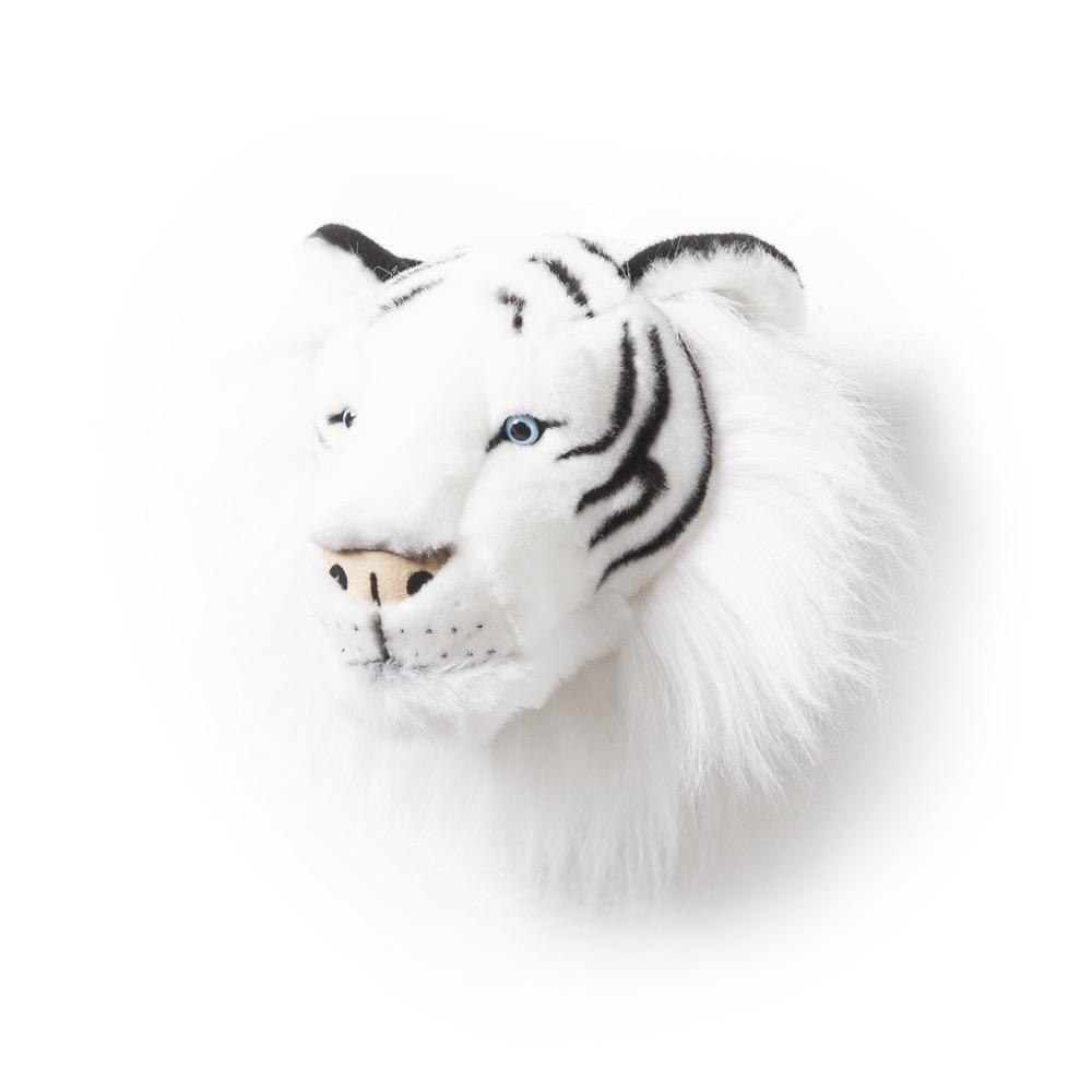 Animals, White Tiger Albert