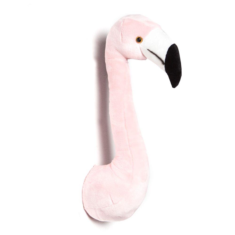 Animais, Flamingo Sofia