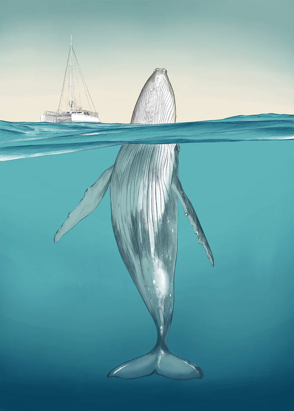 Ilustração Whale