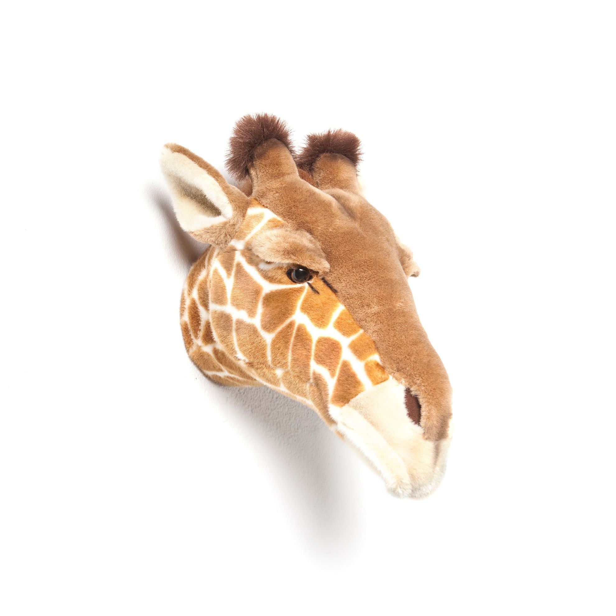 Animais, Girafa Ruby