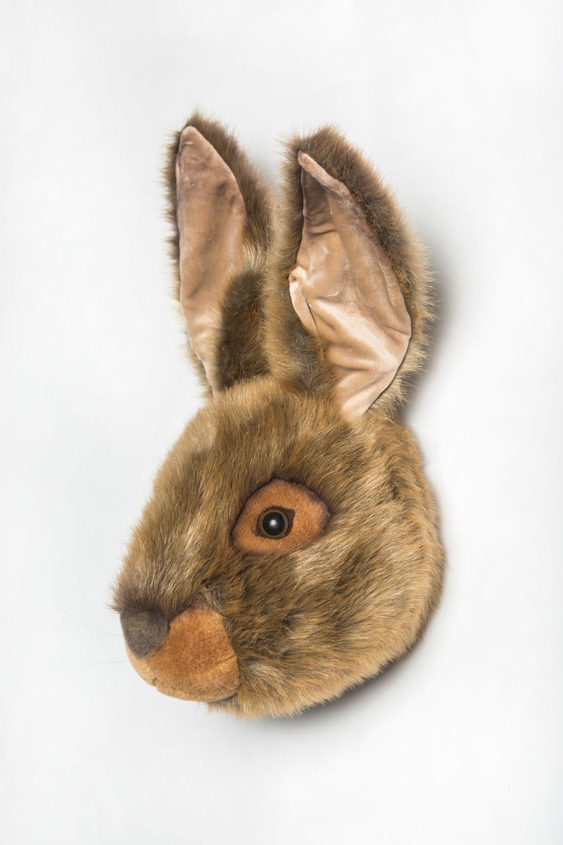 Animais, Lebre Lewis