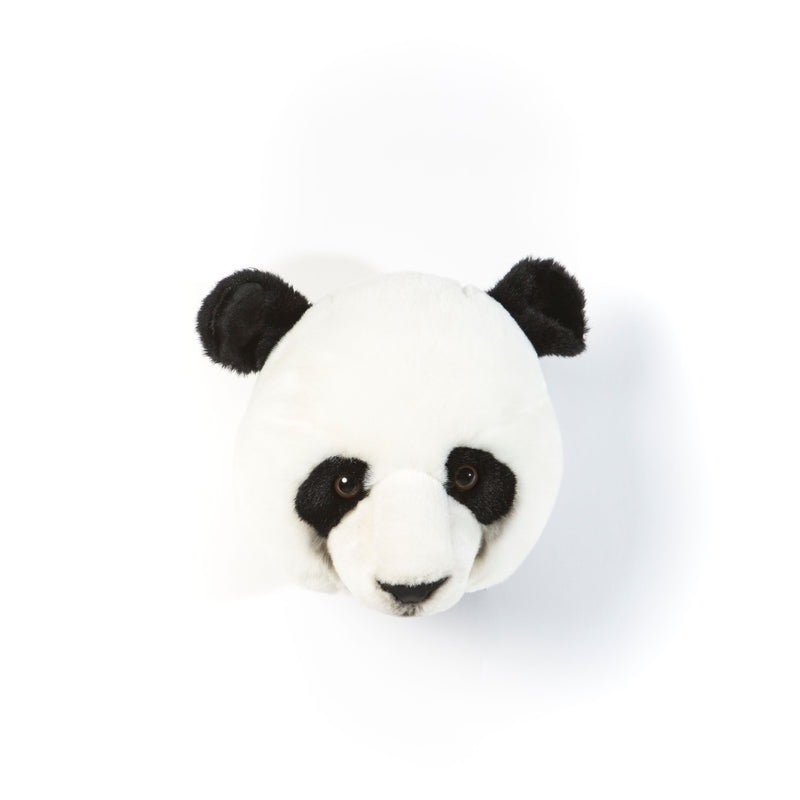 Animais, Panda Thomas