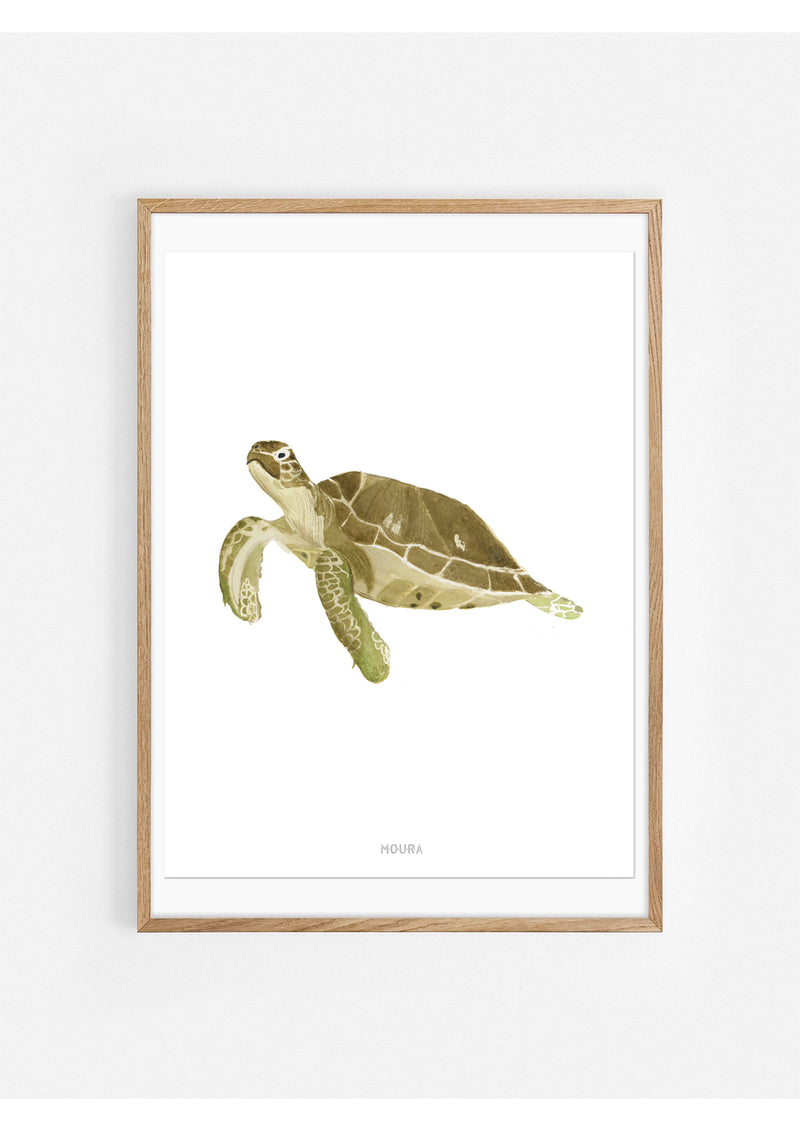 Os Gigantes do Oceano Ilustrações